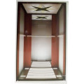 Fjzy-High Quality and Safety Home Lift Fjs-1601